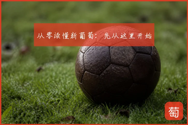 从零读懂新葡萄:先从这里开始