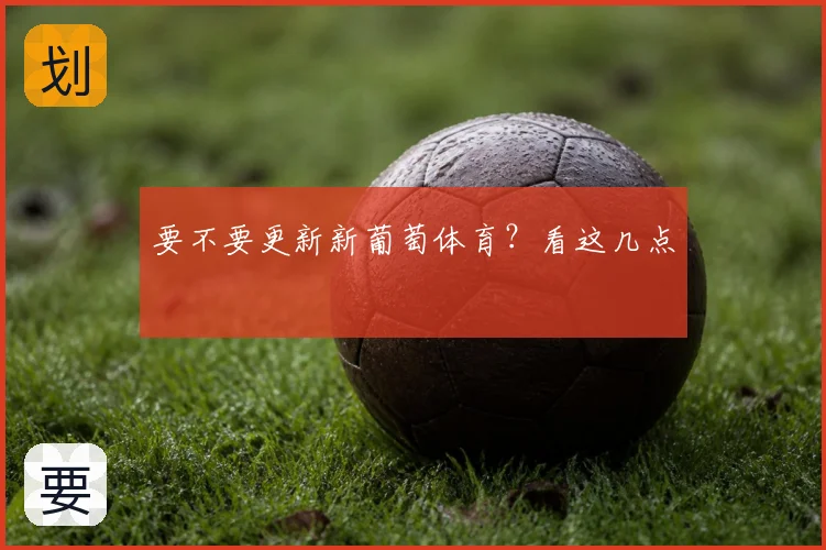 要不要更新新葡萄体育？看这几点